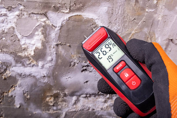 Best Local Mold Removal Service  in Sayreville, NJ