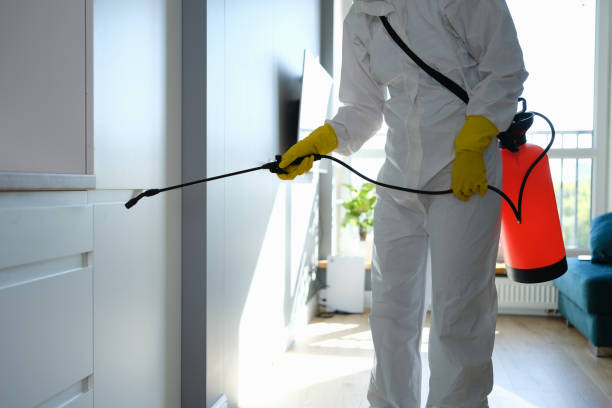 Best Mold Cleaning Services  in Sayreville, NJ