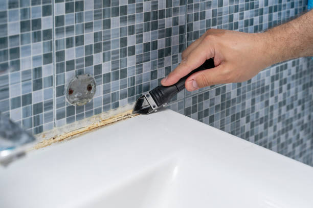 Best Office Mold Removal Services  in Sayreville, NJ
