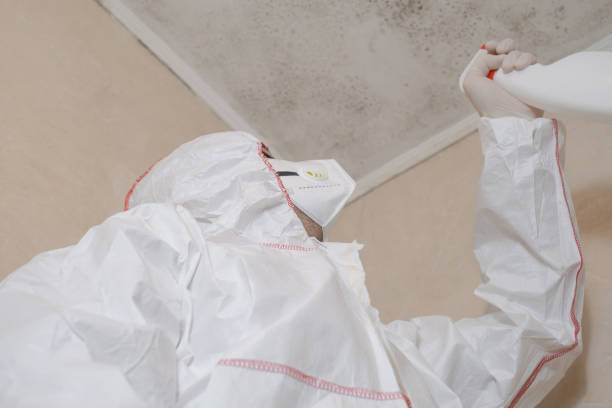 Best Professional Mold Removal  in Sayreville, NJ